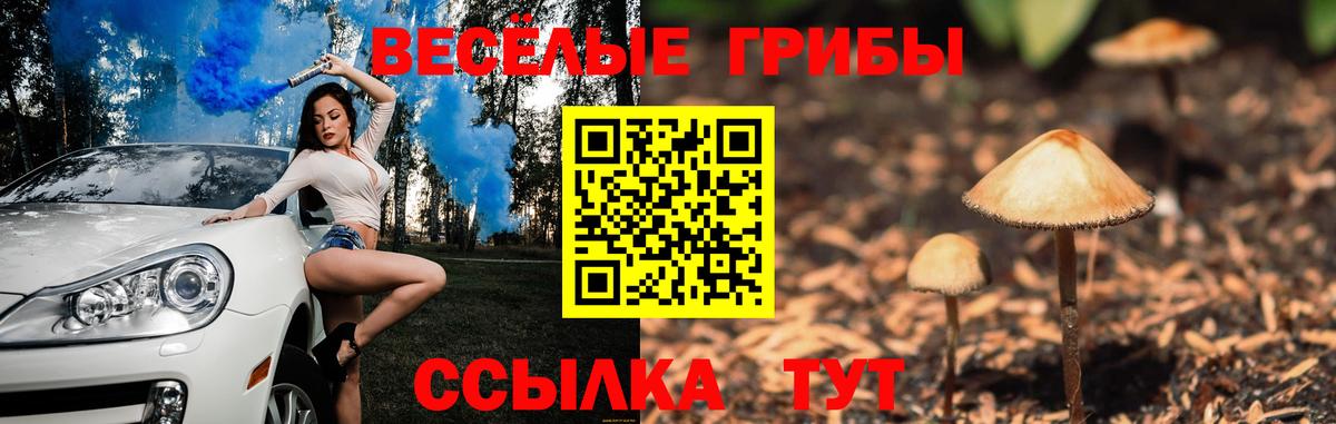 Псилоцибиновые грибы Magic Shrooms Ногинск