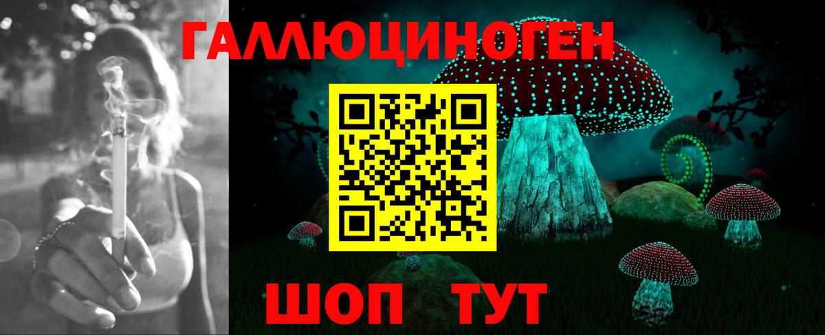 Псилоцибиновые грибы Cubensis  Вход с VPN  Ногинск 